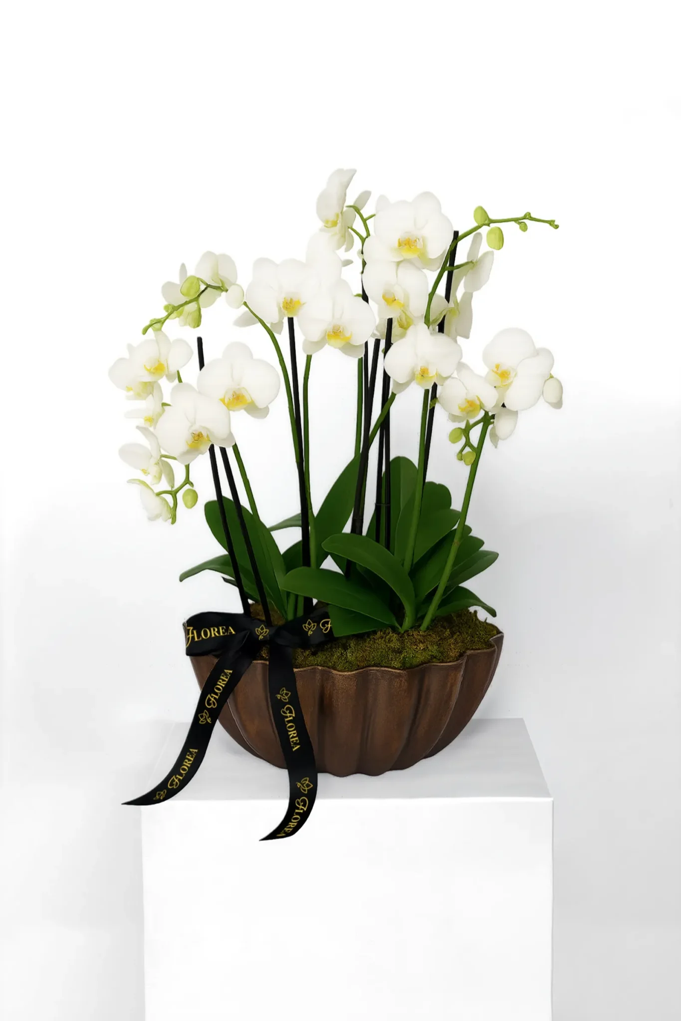 Arreglo Orquidea - CNO-01