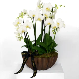 Arreglo Orquidea - CNO-01